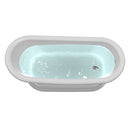 Heatgene 67" Acrylic Freestanding Bathtub Contemporary Soaking Tub HG409