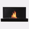 The Bio Flame Lotte Wall Mounted Ethanol Fireplace